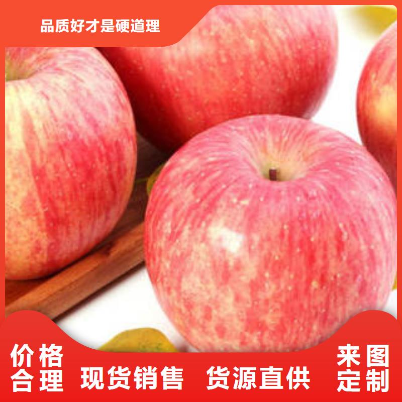 红富士苹果嘎啦苹果厂诚信经营