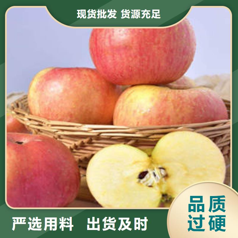 红富士苹果嘎啦苹果销售的是诚信