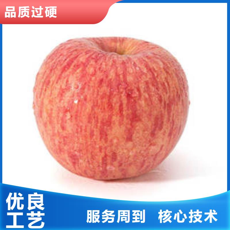 诚信经营质量保证【产品细节 红富士苹果 红富士苹果批发不断创新】-v651.com