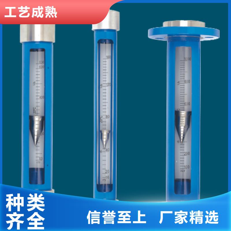 G10-空气流量计实体厂家支持定制