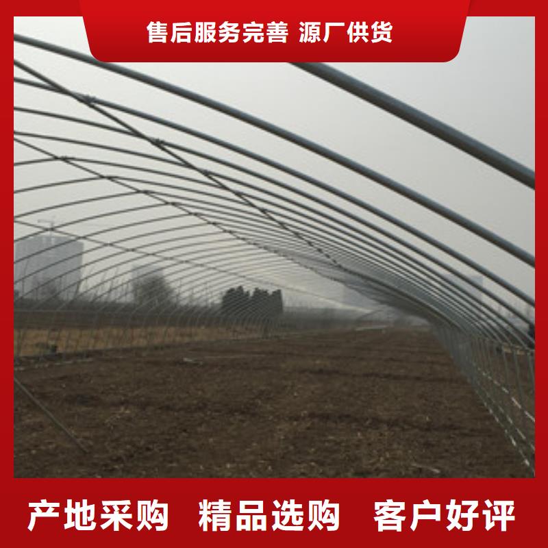 大棚管_H型钢用心制造