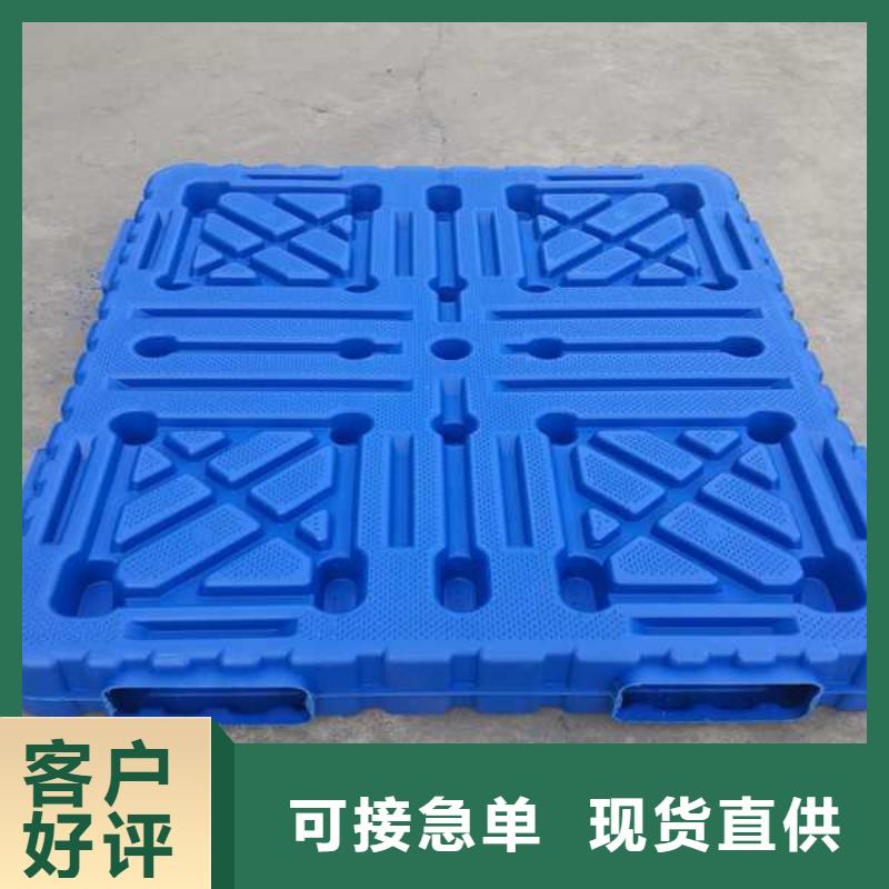 塑料托盘塑料托盘销售买的放心安兴用的舒心
