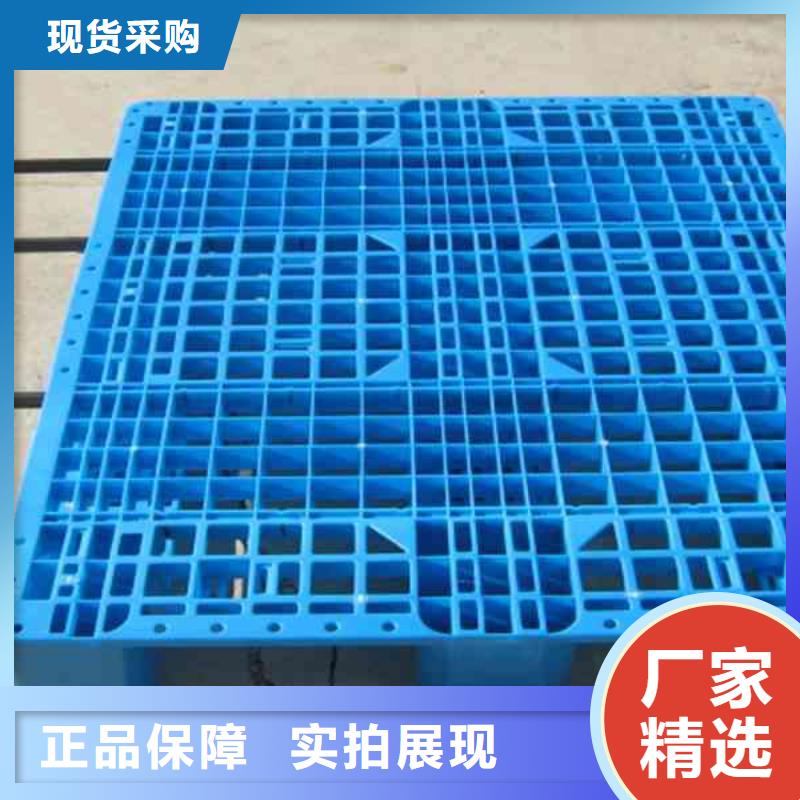 塑料托盘,塑料托盘价格款式新颖