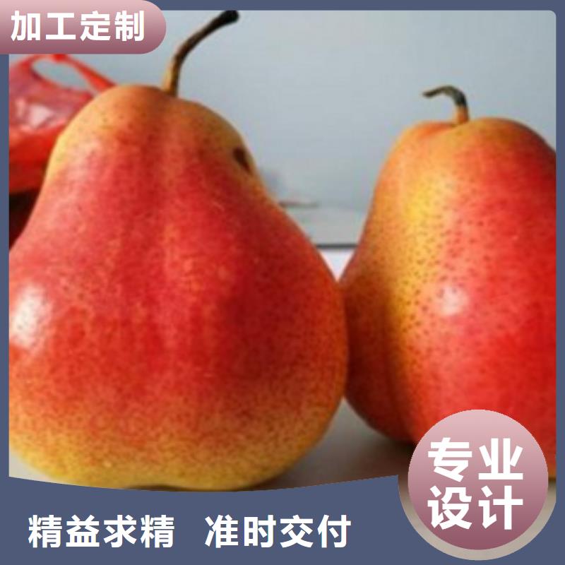 梨树苗-蓝莓苗实力优品