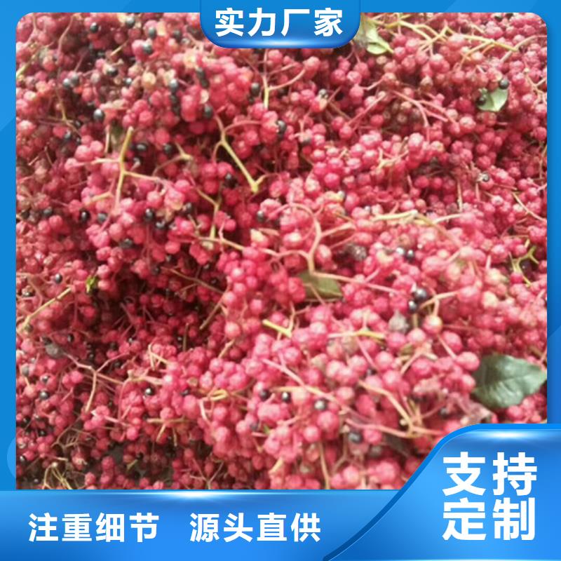 花椒苗梨树苗信誉有保证