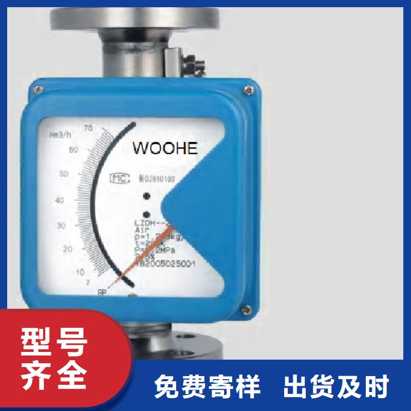 金属浮子流量计-吹扫装置专业品质
