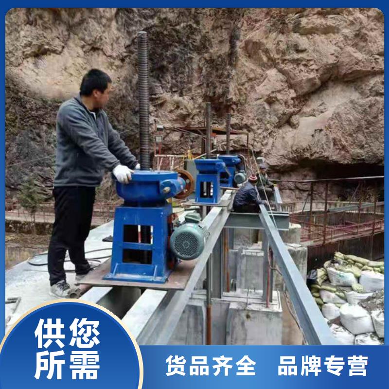 螺杆式启闭机平推启闭机省心又省钱