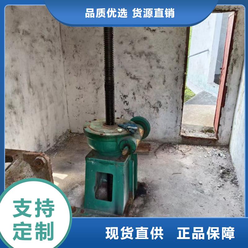 螺杆式启闭机,平推启闭机专注细节专注品质
