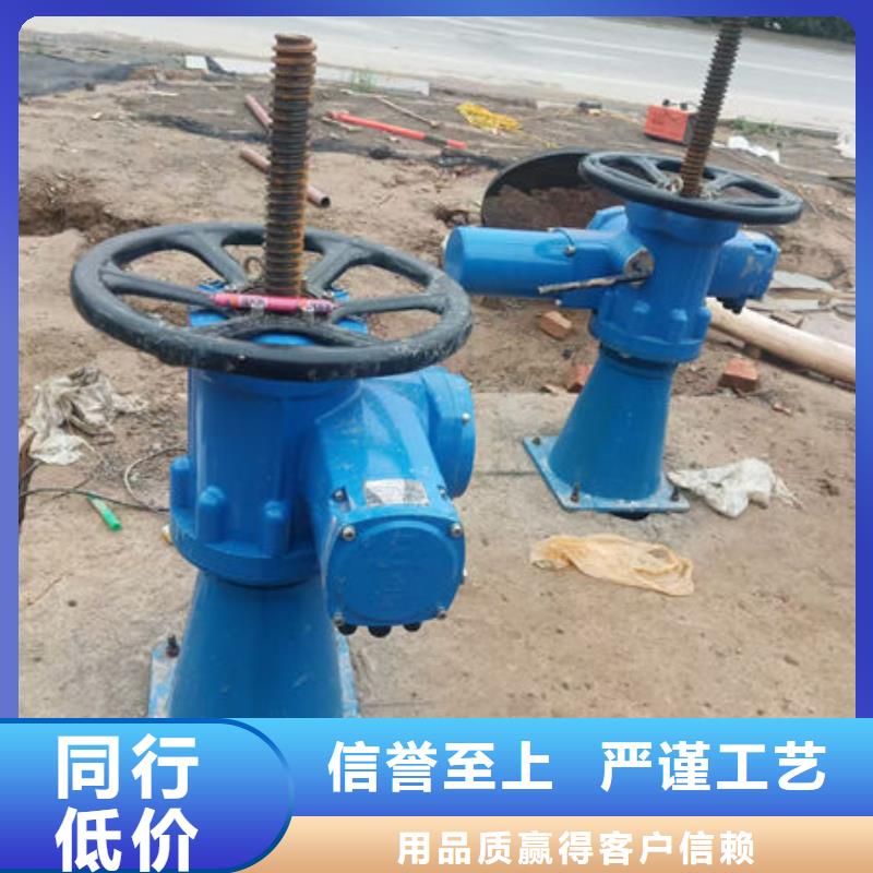 螺杆式启闭机平推启闭机品质可靠