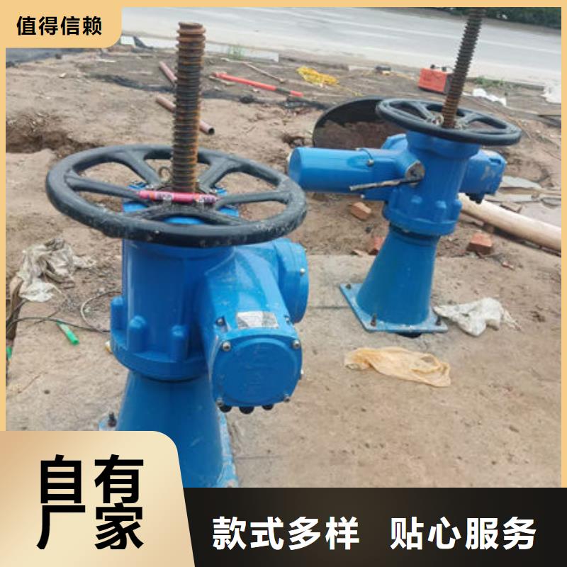 螺杆式启闭机_手电两用启闭机今年新款