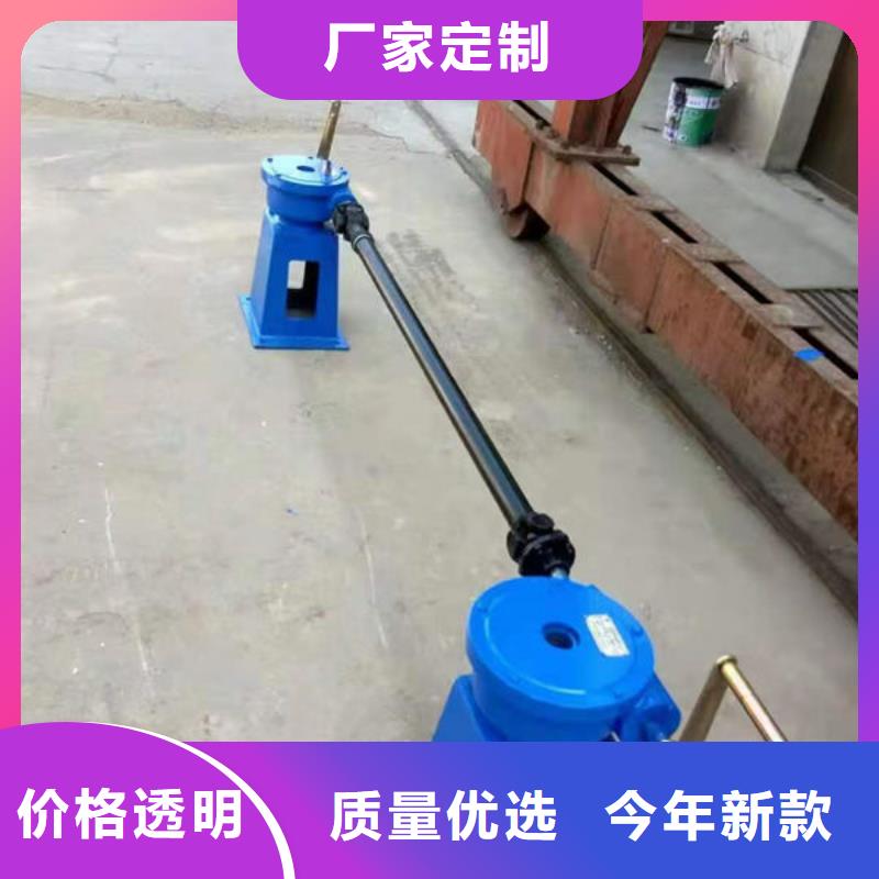 双吊点启闭机欢迎电询