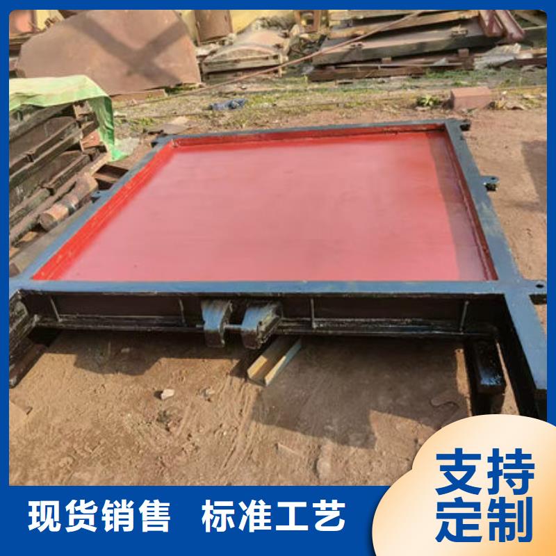 铸铁闸门-水电站铸铁闸门品质之选