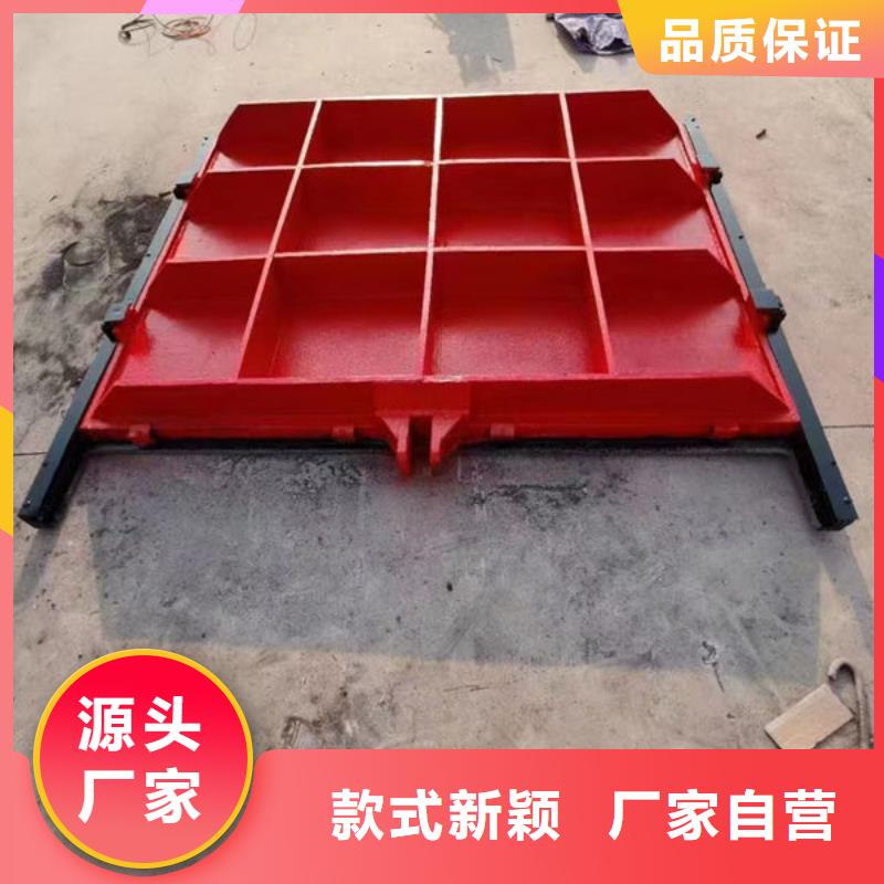 铸铁闸门-附壁式铸铁闸门厂家案例