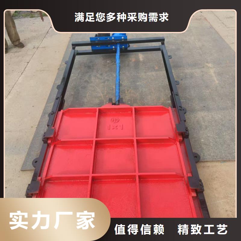 铸铁闸门,渠道闸门专注产品质量与服务