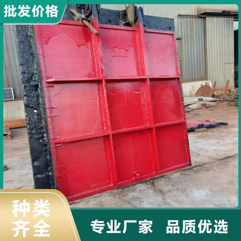 铸铁闸门扇形闸门欢迎新老客户垂询