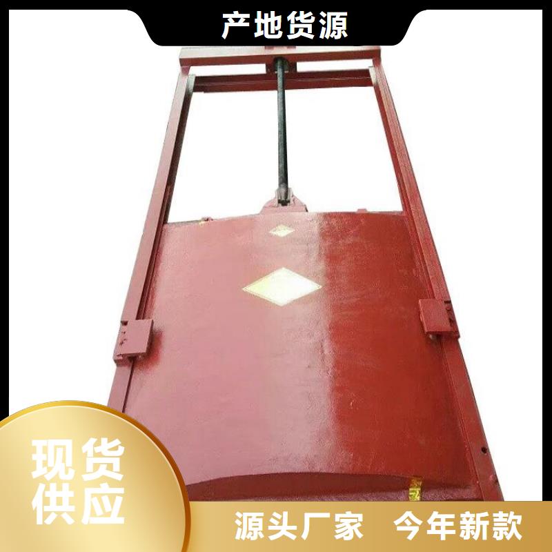 铸铁闸门插板铸铁闸门讲信誉保质量