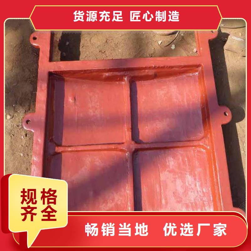 铸铁闸门-水电站铸铁闸门品质之选
