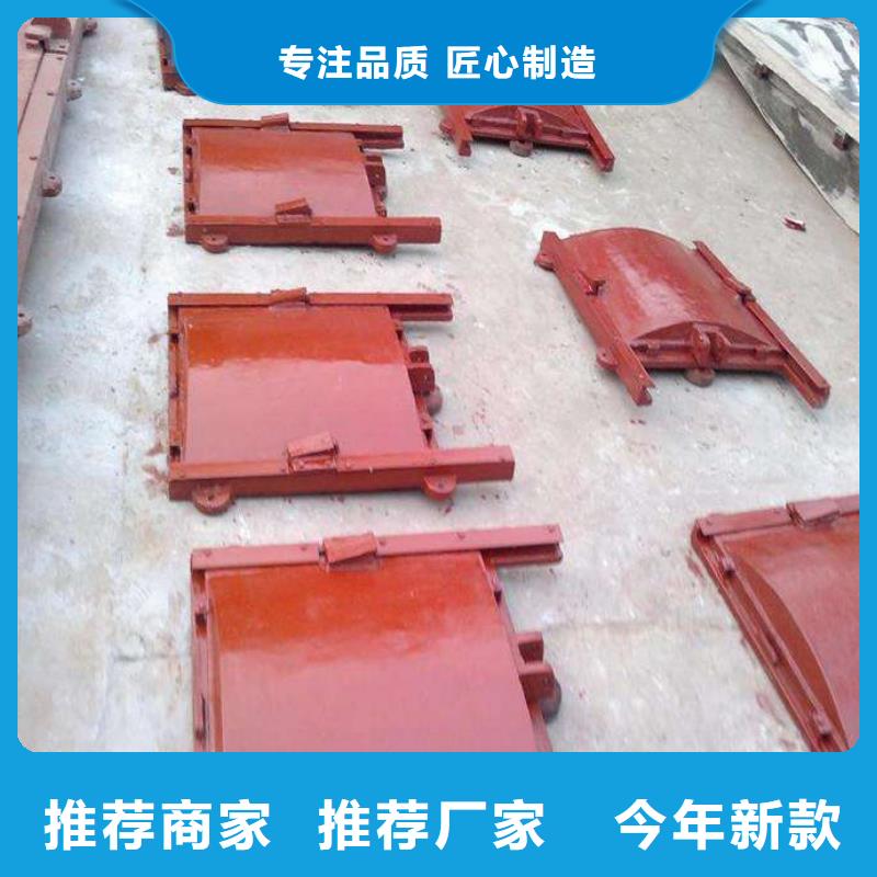 铸铁闸门_手提铸铁闸门自有厂家