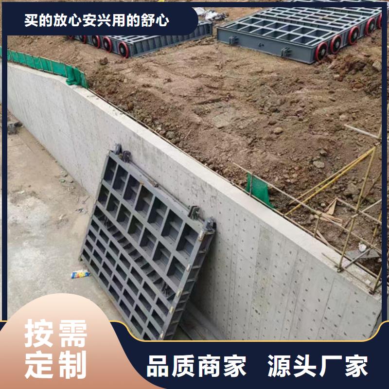 钢坝闸门,自动抓梁支持拿样