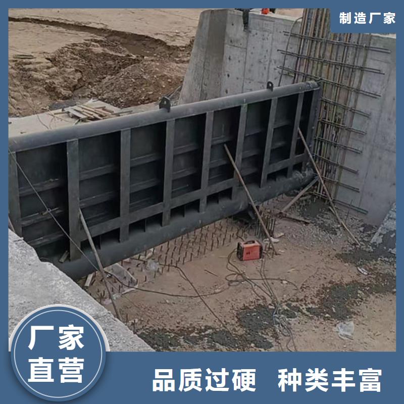 钢坝闸门合页钢坝用心服务