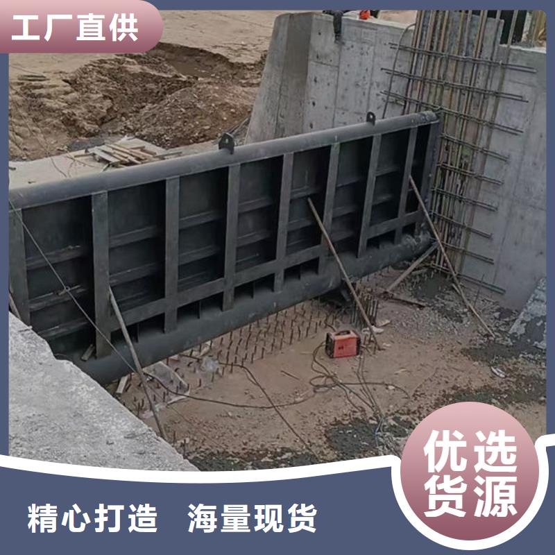 钢坝闸门自动抓梁原厂制造
