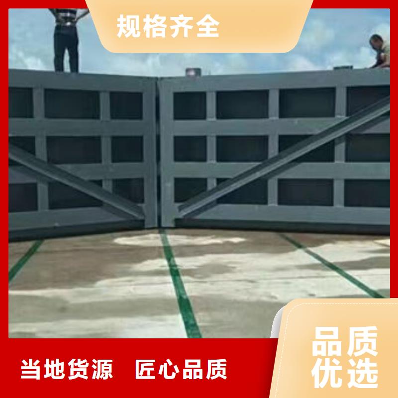 钢坝闸门,自动抓梁支持拿样