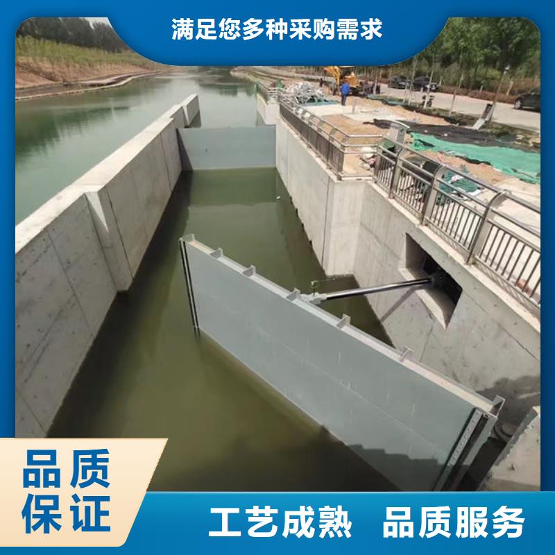 钢坝闸门钢制拍门订制批发