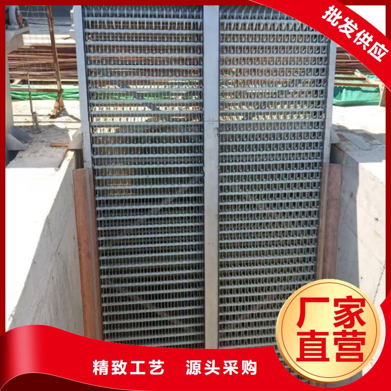 清污机尼龙爬齿格栅除污机实地大厂