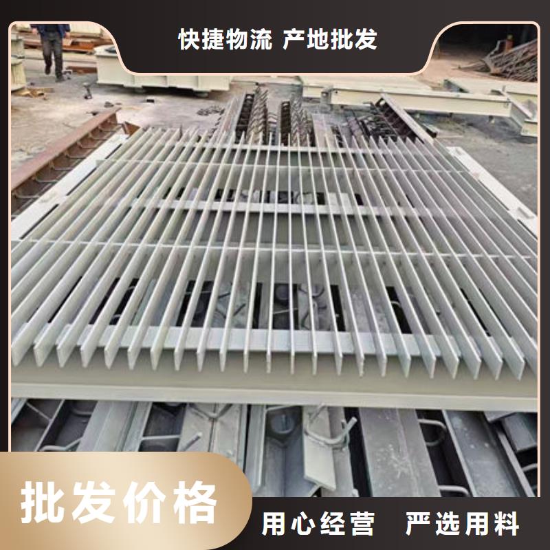 清污机尼龙爬齿格栅除污机实地大厂