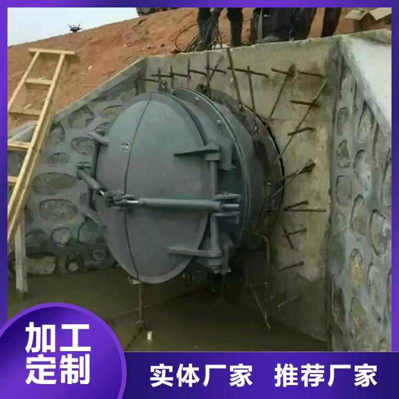 拍门,不锈钢拍门专心专注专业