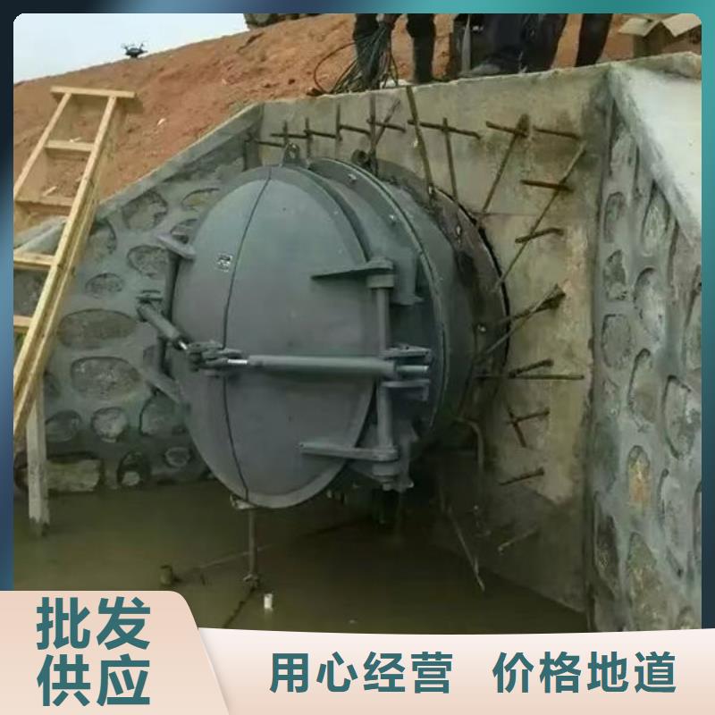 拍门钢制拍门的简单介绍