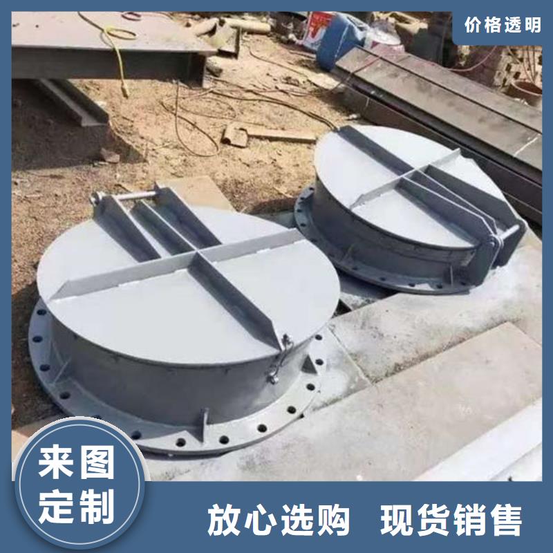 拍门不锈钢拍门拒绝中间商