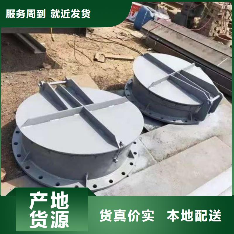 拍门-球墨铸铁拍门诚信可靠