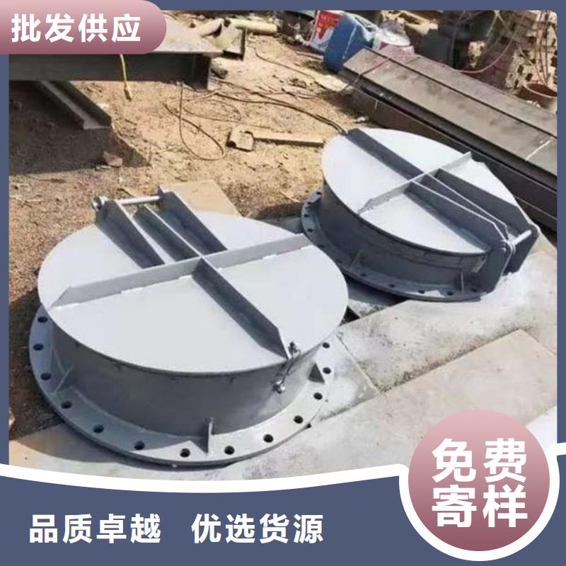 拍门球墨铸铁拍门准时交付