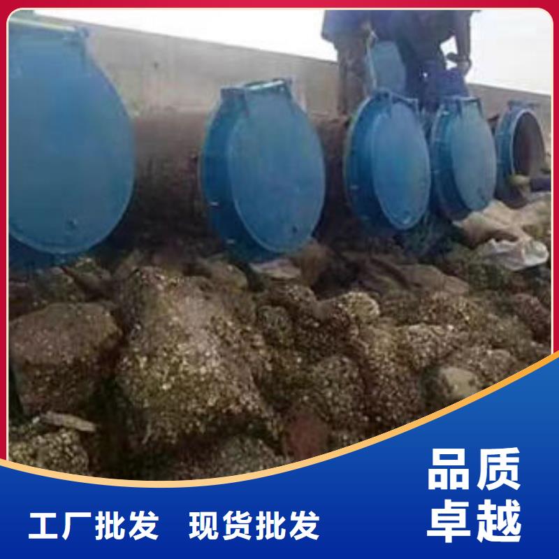 拍门防倒灌拍门品质好才是硬道理