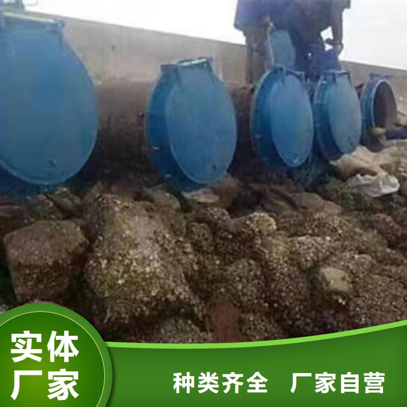 拍门钢制拍门好货有保障
