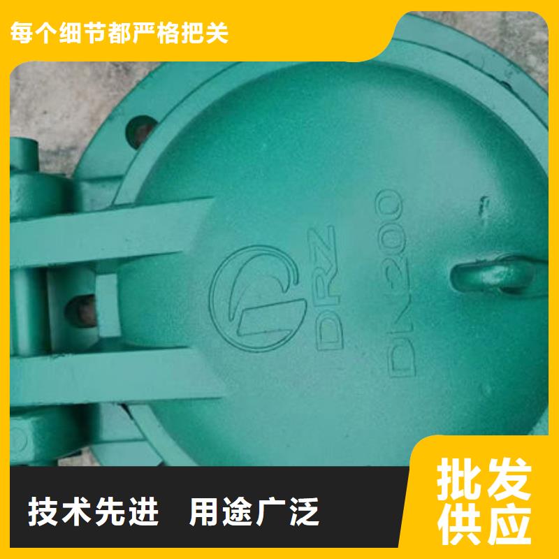 拍门,不锈钢拍门专心专注专业