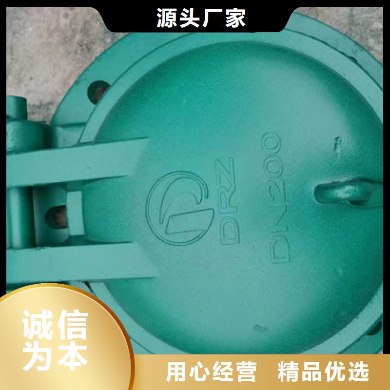拍门-防倒灌拍门质优价廉