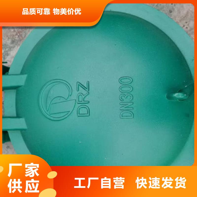 拍门防倒灌拍门值得信赖