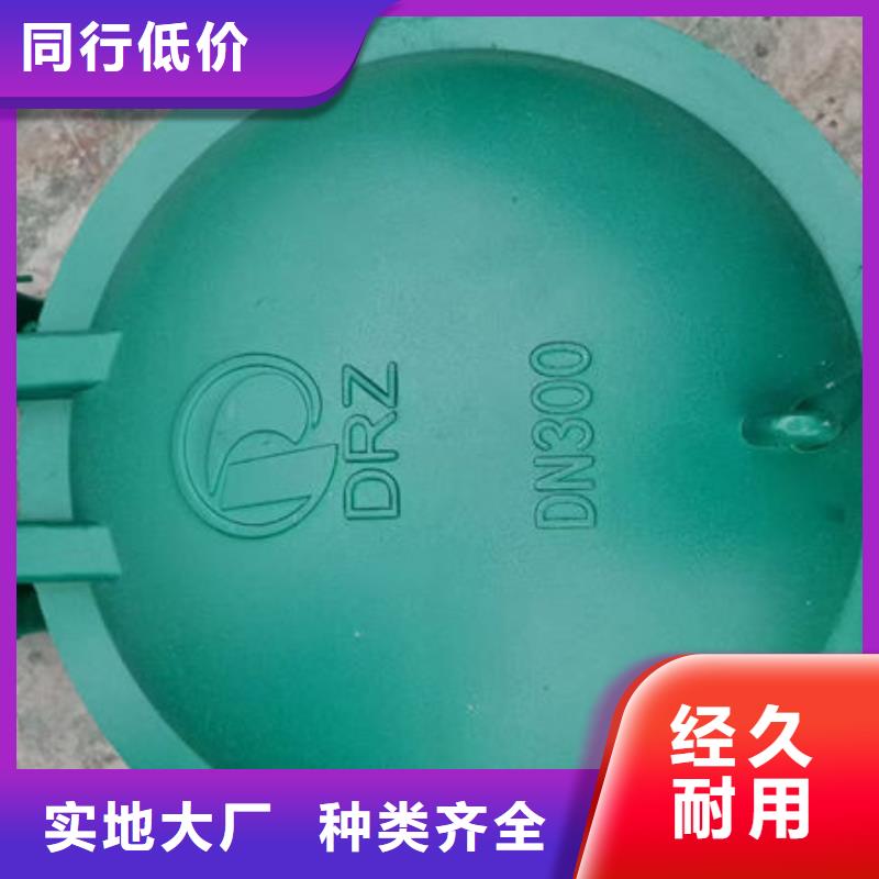 拍门铸铁拍门快速物流发货