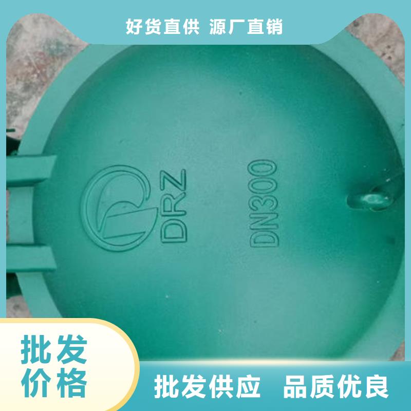 拍门,球墨铸铁拍门客户信赖的厂家