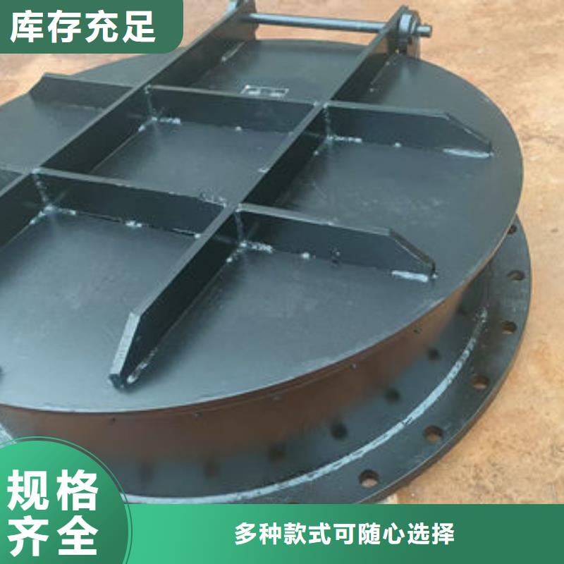 拍门球墨铸铁拍门专业完善售后