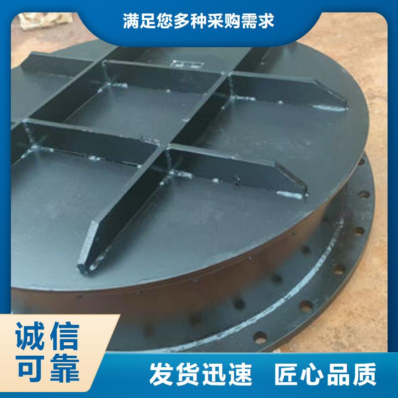 拍门铸铁拍门高性价比