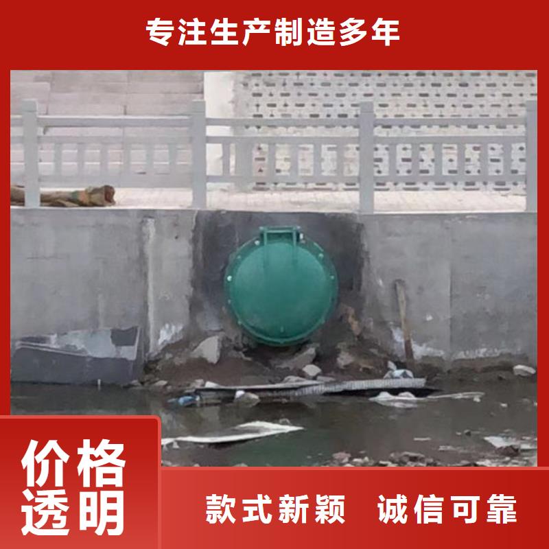 拍门_钢制拍门值得信赖
