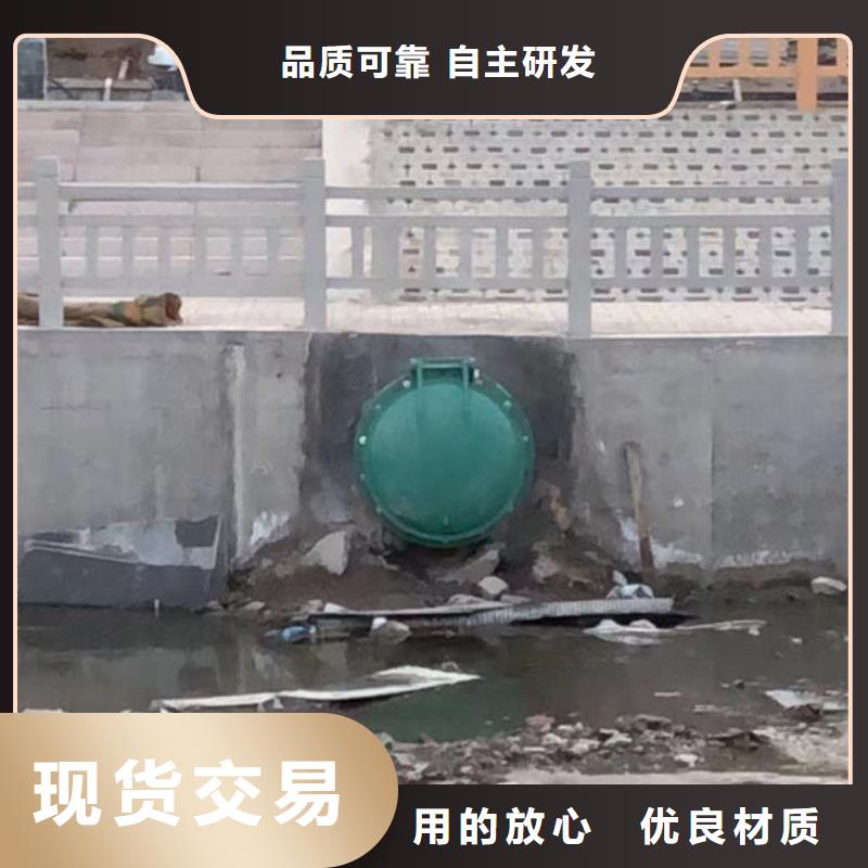 拍门铸铁拍门行业优选