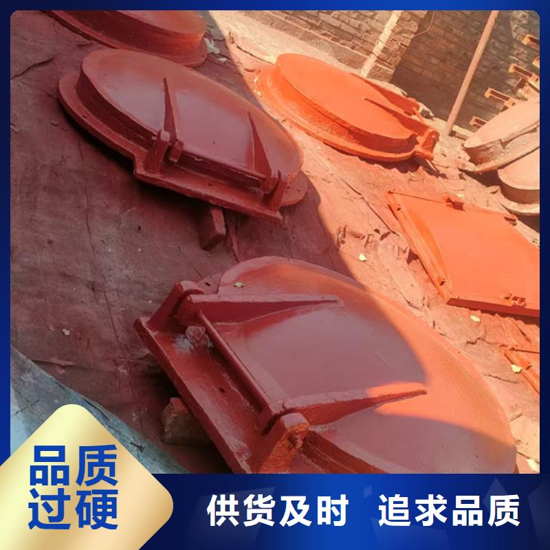 拍门球墨铸铁拍门准时交付
