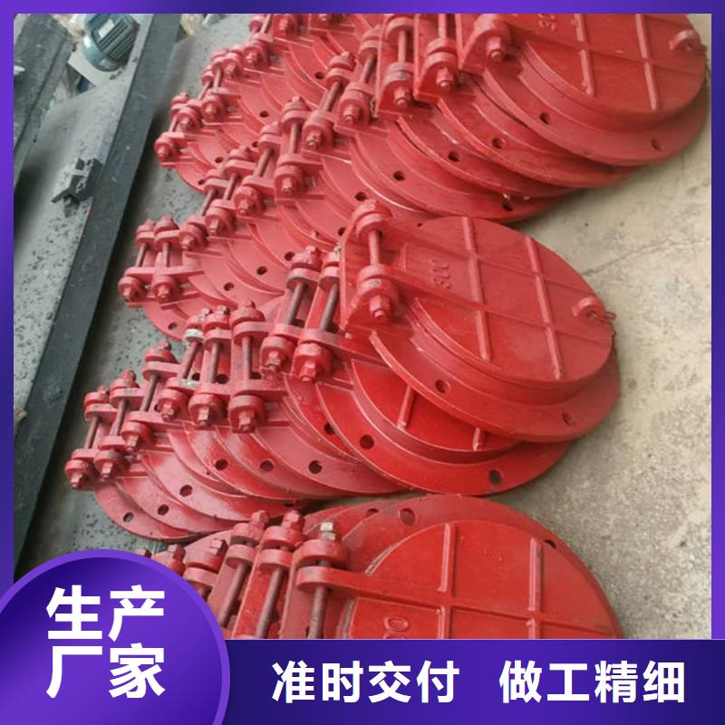 拍门-钢制拍门严格把关质量放心