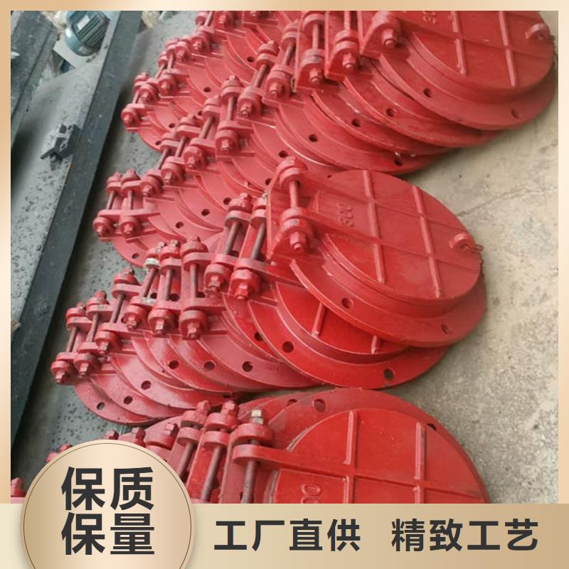 拍门铸铁拍门行业优选