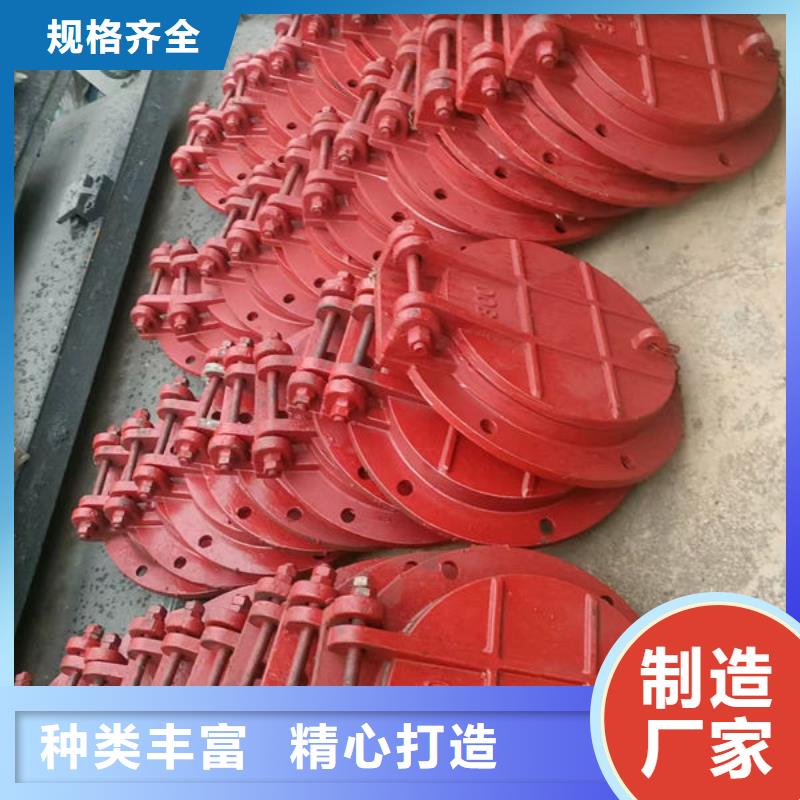 拍门-防倒灌拍门质优价廉