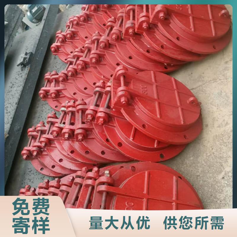 拍门方拍门用心服务